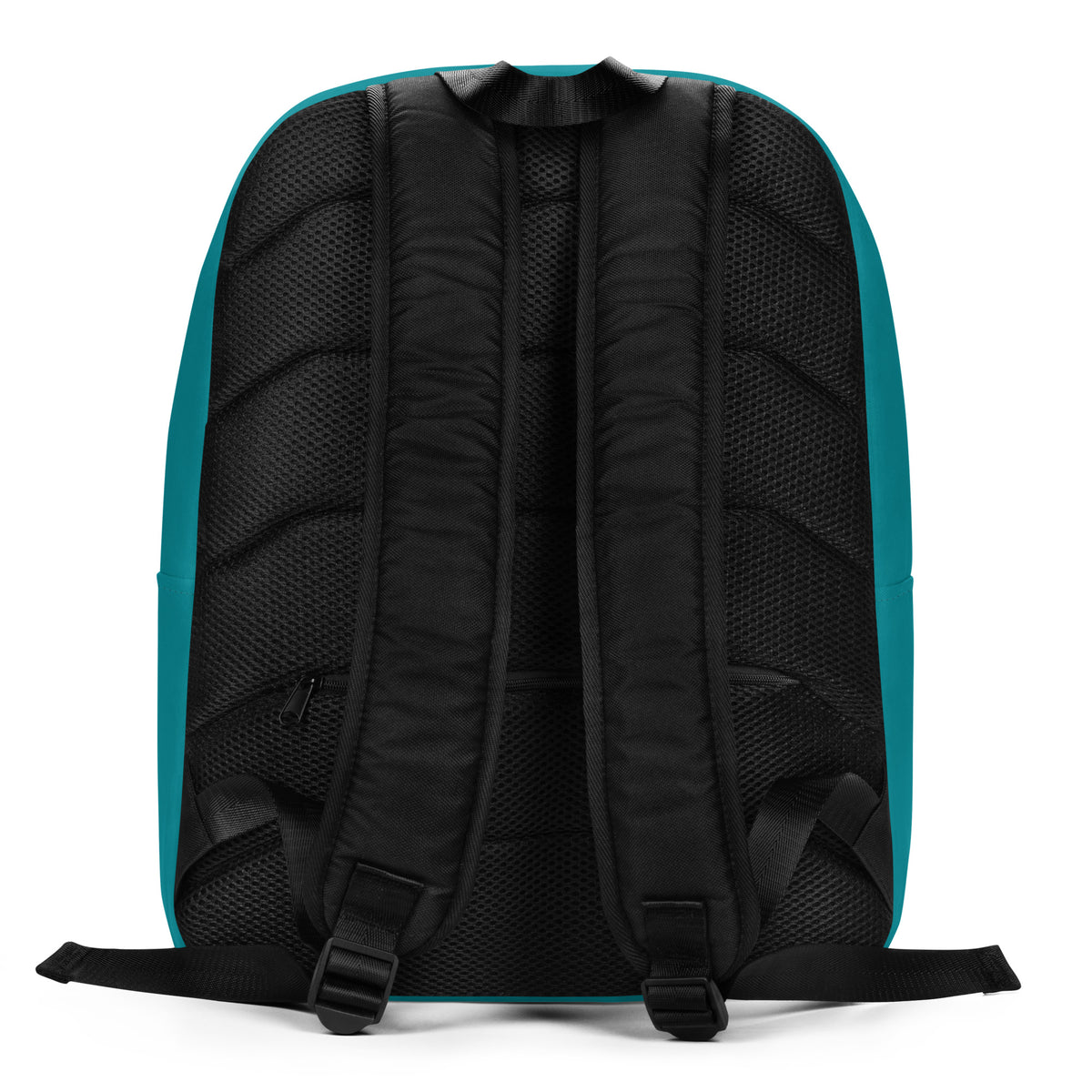 Backpack with teal back panel and black straps on a white background